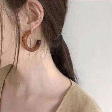 真实巴士驾驶模拟最新版下载